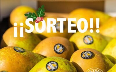 Sorteo: navidad con PERAS DE RINCÓN DE SOTO
