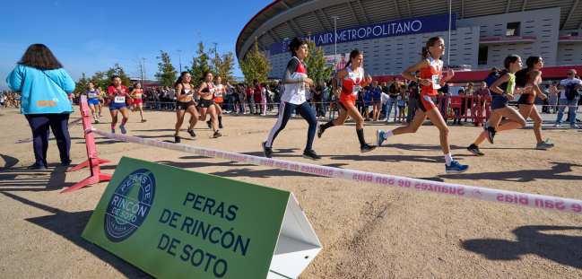 Cross Estadio Metropolitano, Madrid 19.10.2024